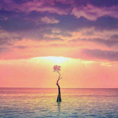 一季度超200亿不良批量转让，不良处置成消金公司“转型配套”