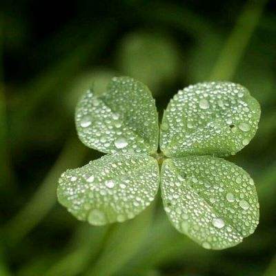 千亿棋牌app下载手机版