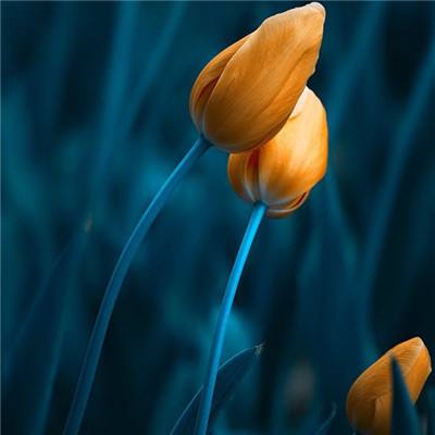 “嘴唇发紫”是心脏不好信号？医生提醒