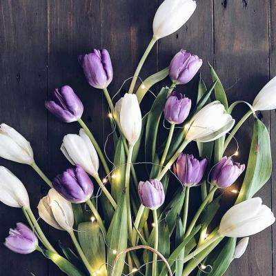 c7平台注册入口