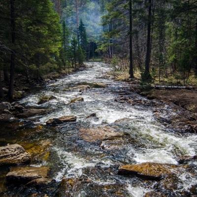 又一个“王”走下神坛！他曾和巴菲特齐名