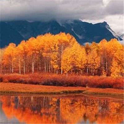 YB体育娱乐下载app/手机app下载