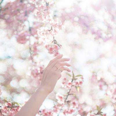 TMT50ETF招商(159909)跌1.84%,成交额169.88万元