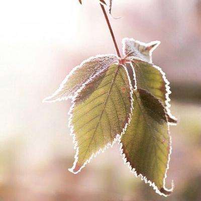 低风险理财卖不动了?年内多只银行理财产品募集“折戟”