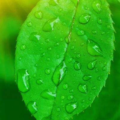 骗贷超6.6亿元 涉金融领域犯罪嫌疑人张某潜逃境外三年后被押解回国