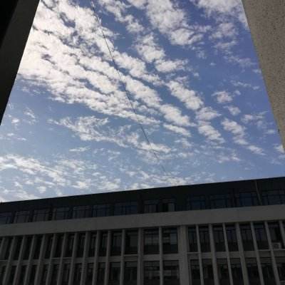 乐鱼体育登陆官网