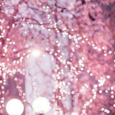 至尊体育娱乐APP/手机APP下载