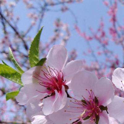 华泰柏瑞中证全指电力公用事业ETF净值上涨3.59%