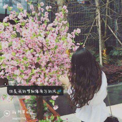 酒价内参3月25日价格发布 古井贡古20下跌2元/瓶