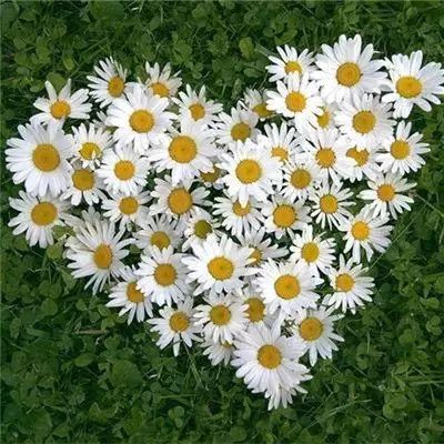 英亚电竞官网相关推荐1