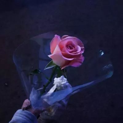 午后突然跳水！300131晚间公告