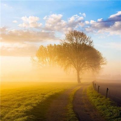 踏浪擎旗，立序新章 | 数字化、...